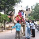 Ship of the desert on Chennai roads