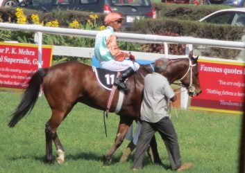 Winning Horse of Dr.M.A.M. Ramaswamy Memorial Gold Cup