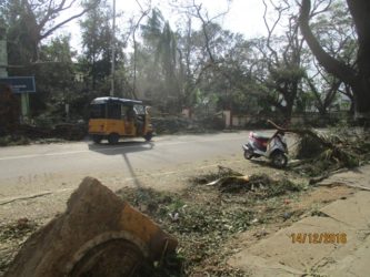 Cyclone Vardah Street View