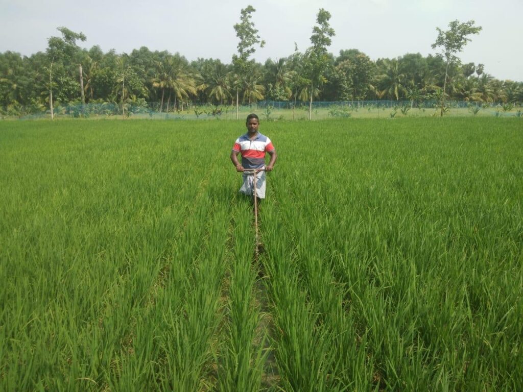 Vidhyasagar in his fields