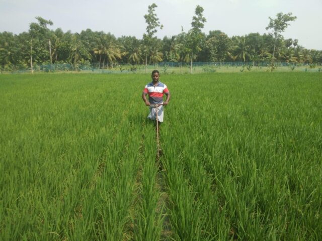 A marine engineer turns to chemical-free farming with a focus on sustainability Vidhyasagar in his fields