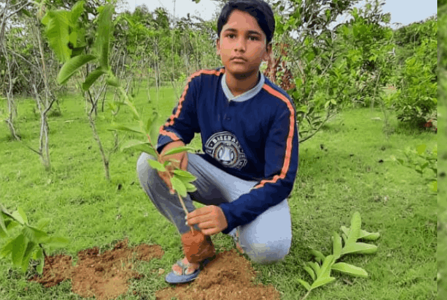 Naren Villuri collects seeds today for a greener planet tomorrow Naren Villuri Seed Collector