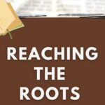 Reaching the Roots – eBook : Solutions Journalism Project