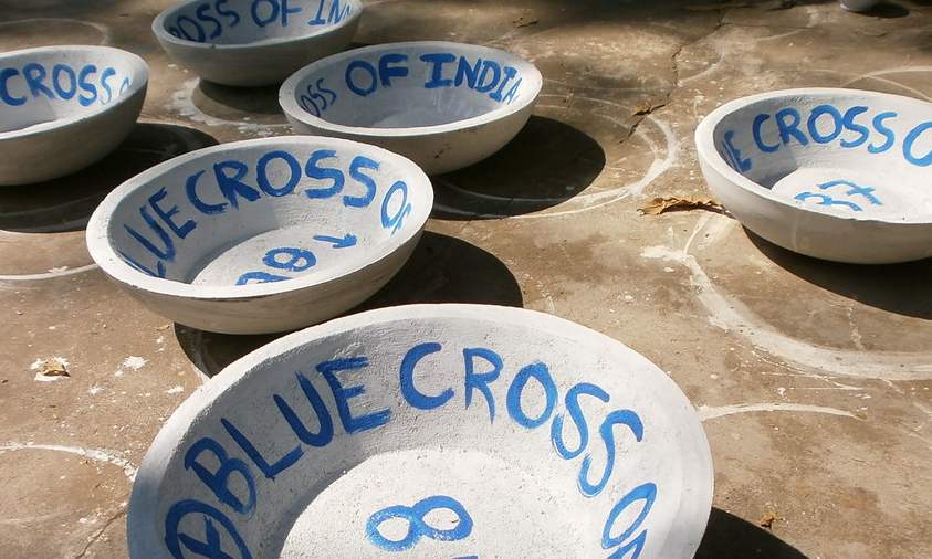 Blue Cross Water Bowl