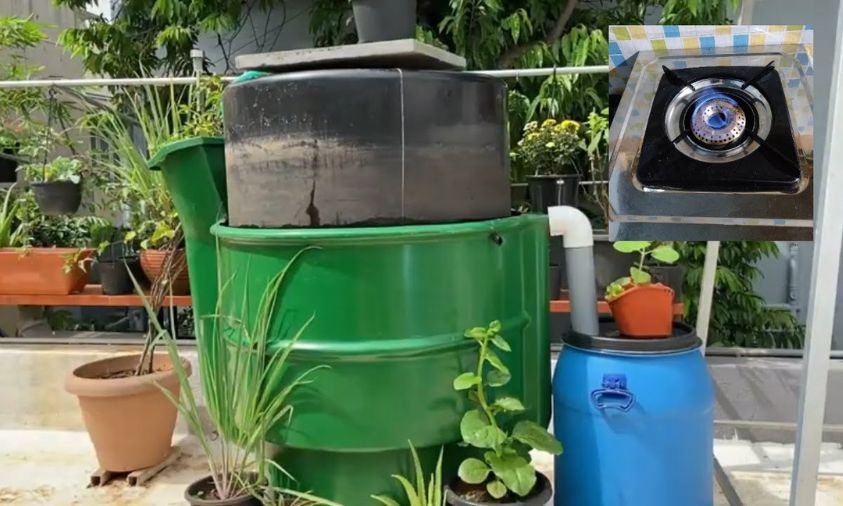 domestic biogas