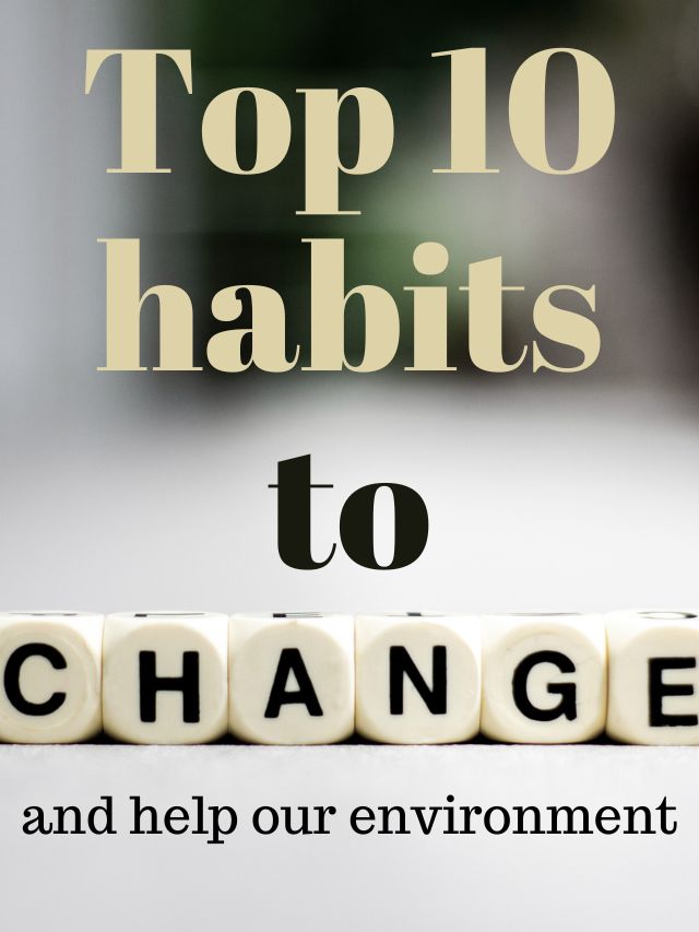 Top 10 eco-friendly habits to help our environment