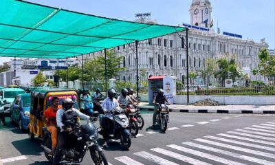 Green net at traffic signal